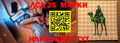 бошки Бердск